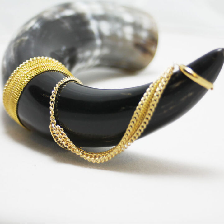 Adha Zelma Devi Handpiece