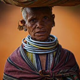 Bonda Elder, Photo by Ingetje Tadros